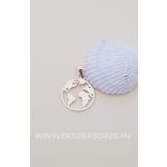 Arany és rossgold földgömb medál