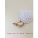 Arany oroszlán medál