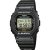 DW-5600E-1V
