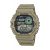 CASIO WS-1700H-5A